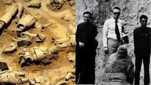 杨志发发现兵马俑故事