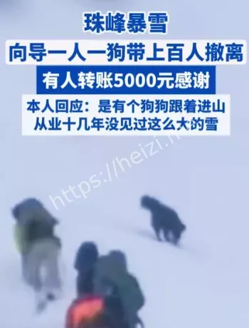 珠峰暴雪撤离
