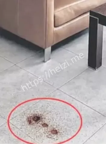 新加坡剑桥博士饿死案